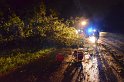 Sturm Radfahrer vom Baum erschlagen Koeln Flittard Duesseldorferstr P15